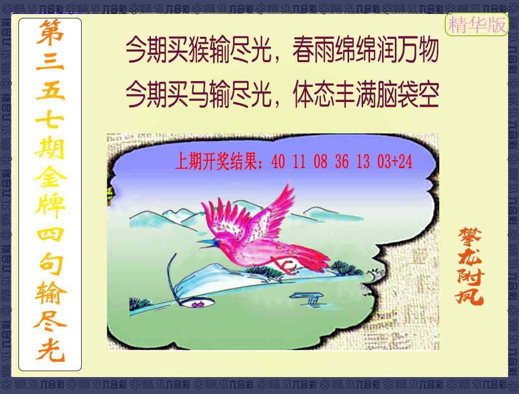 357期金牌四句输尽光[图]