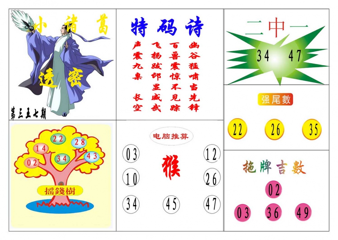 357期小诸葛[图]