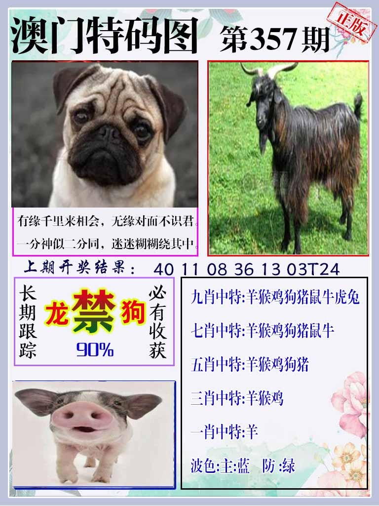 357期特码图[图]