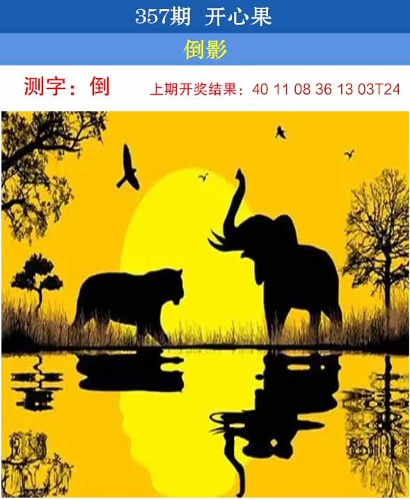 357期开心果[图]