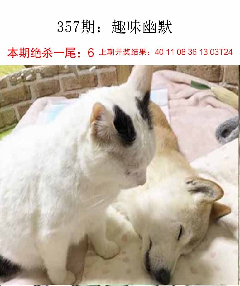 357期趣味幽默[图]