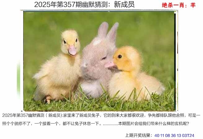 357期幽默猜测[图]