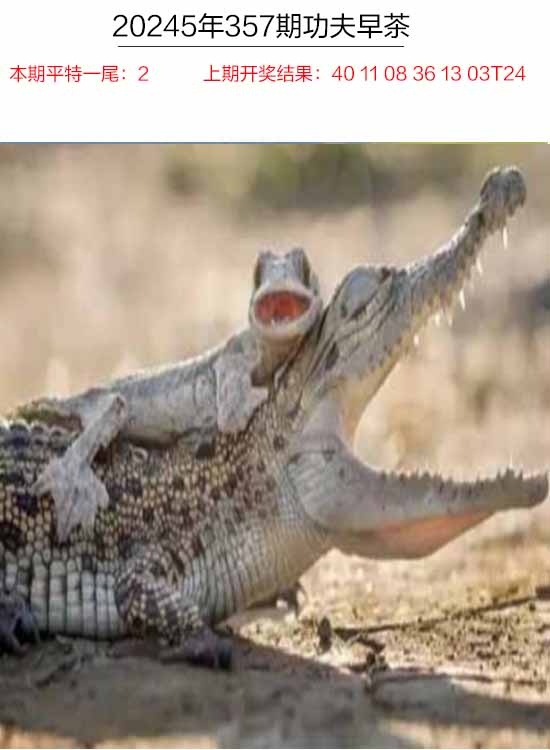 357期功夫早茶[图]