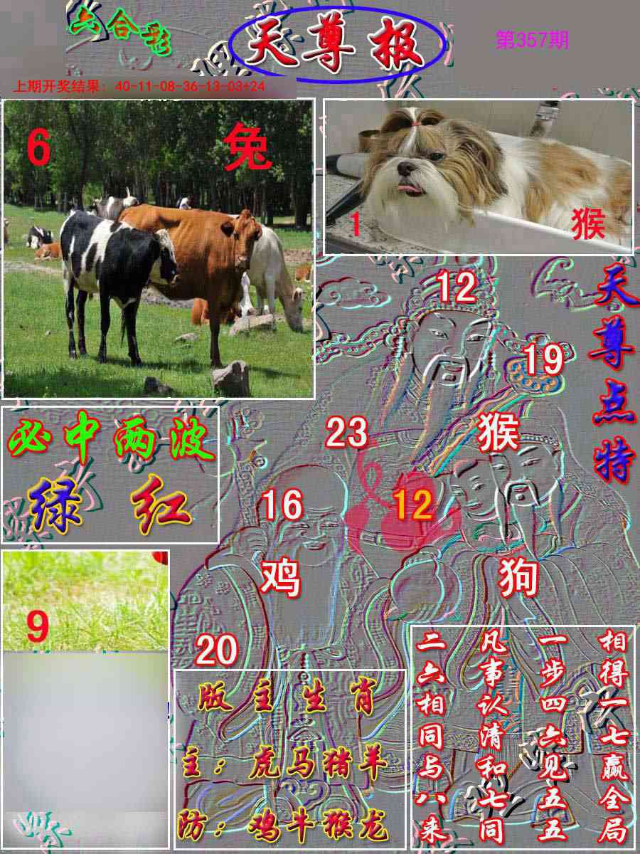 357期天尊报[图]