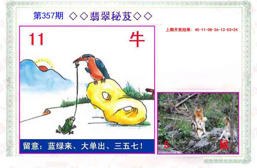 357期翡翠报[图]