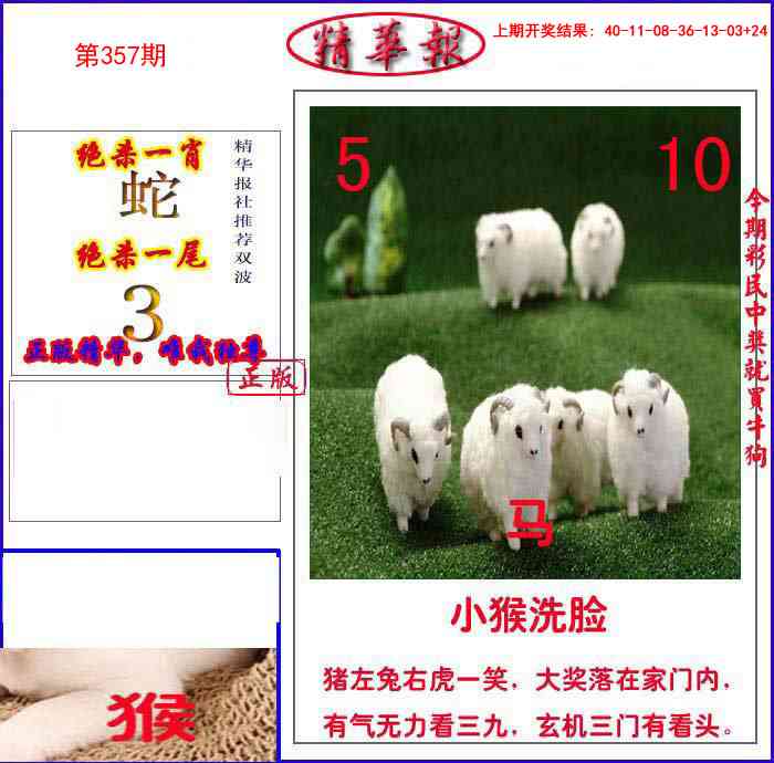 357期新精华报报[图]