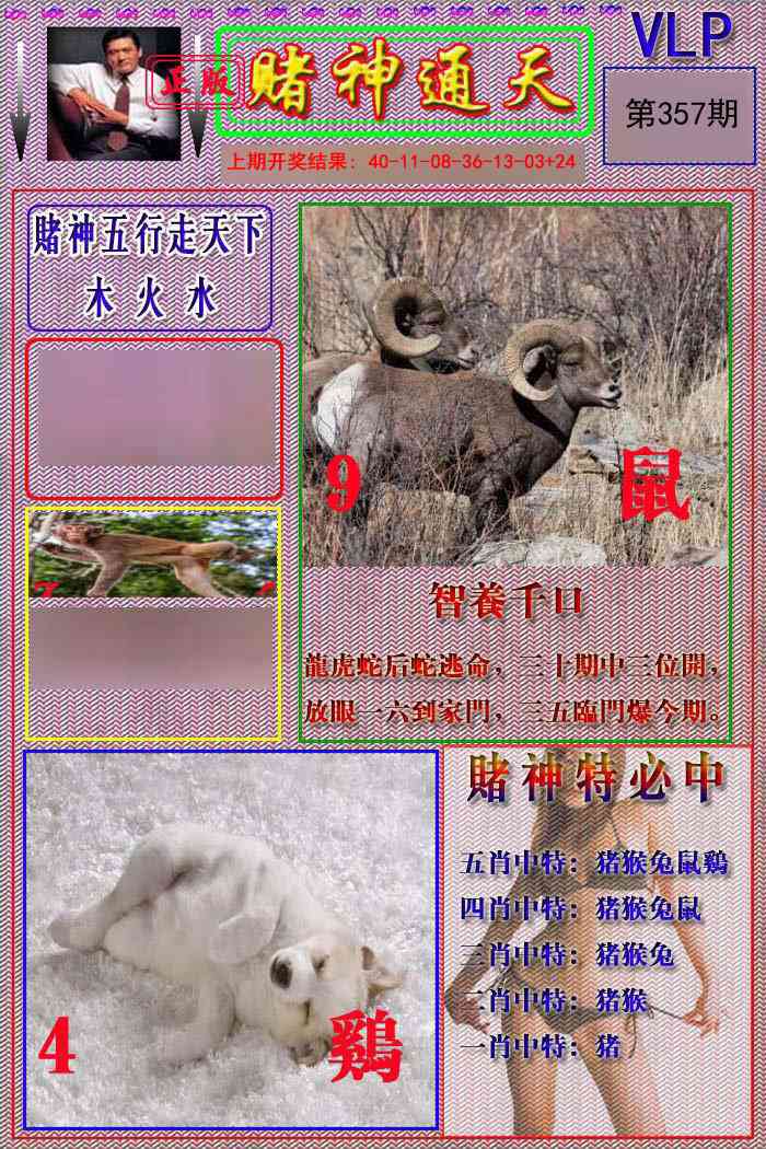 357期赌神通天报[图]