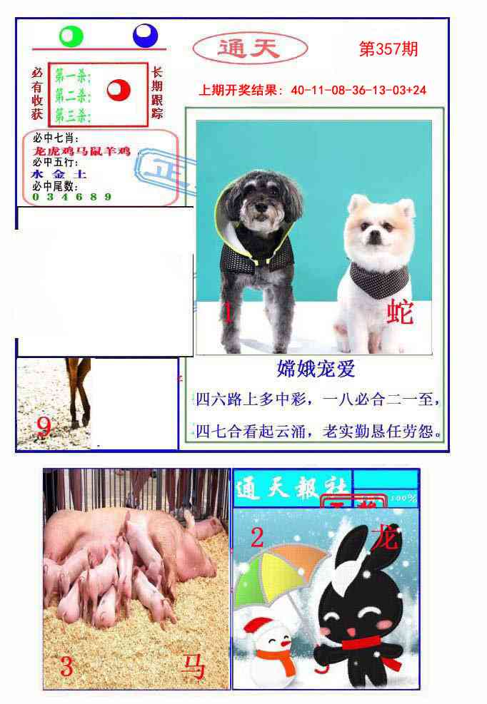 357期通天杀波图2[图]