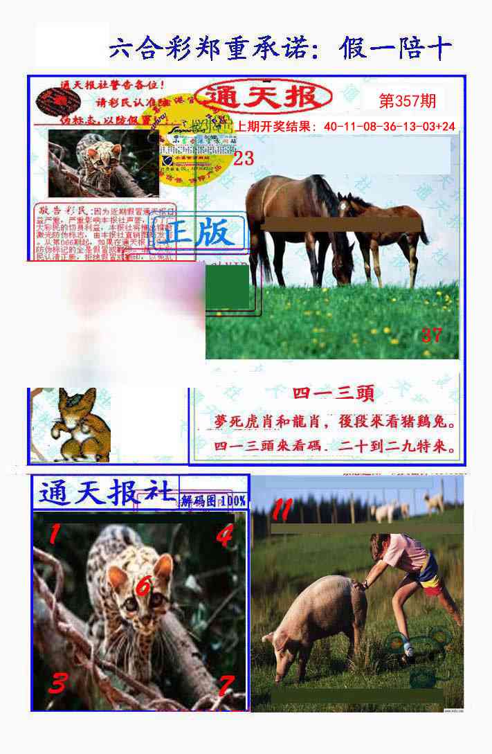 357期假一陪十通天报[图]