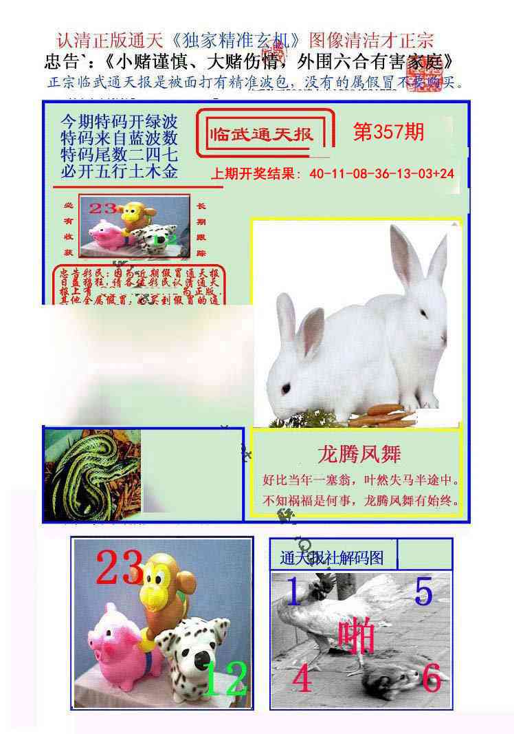 357期临武通天报[图]