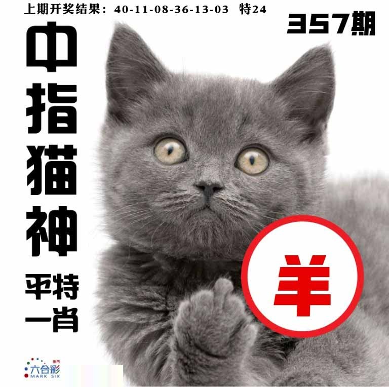 357期中指猫神[图]