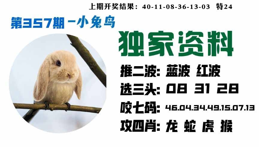 357期小兔鸟[图]